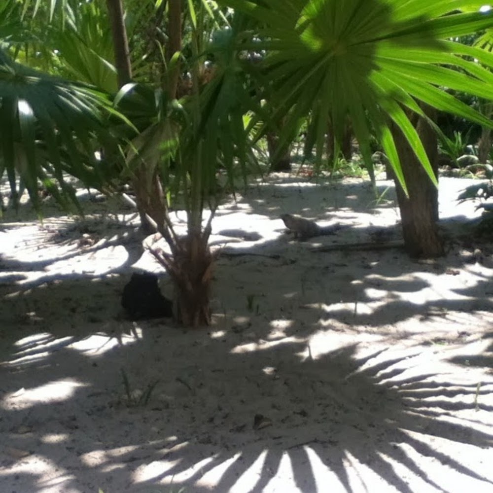 Meet your Posher, Jen